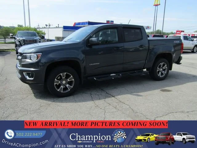 Used 2019 SHADOW GRAY METALLIC Chevrolet 4WD Z71 image 1