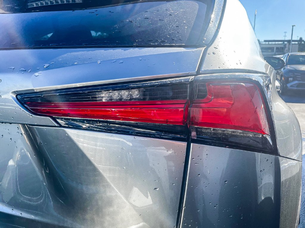 2019 Lexus NX 300 - Photo 6