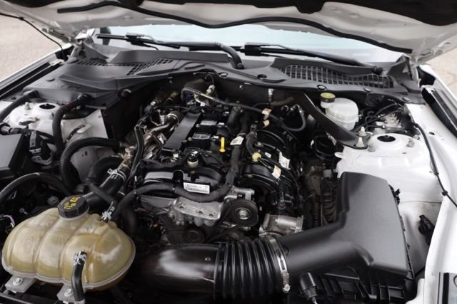 Used 2021 Oxford White Ford EcoBoost Premium image 32