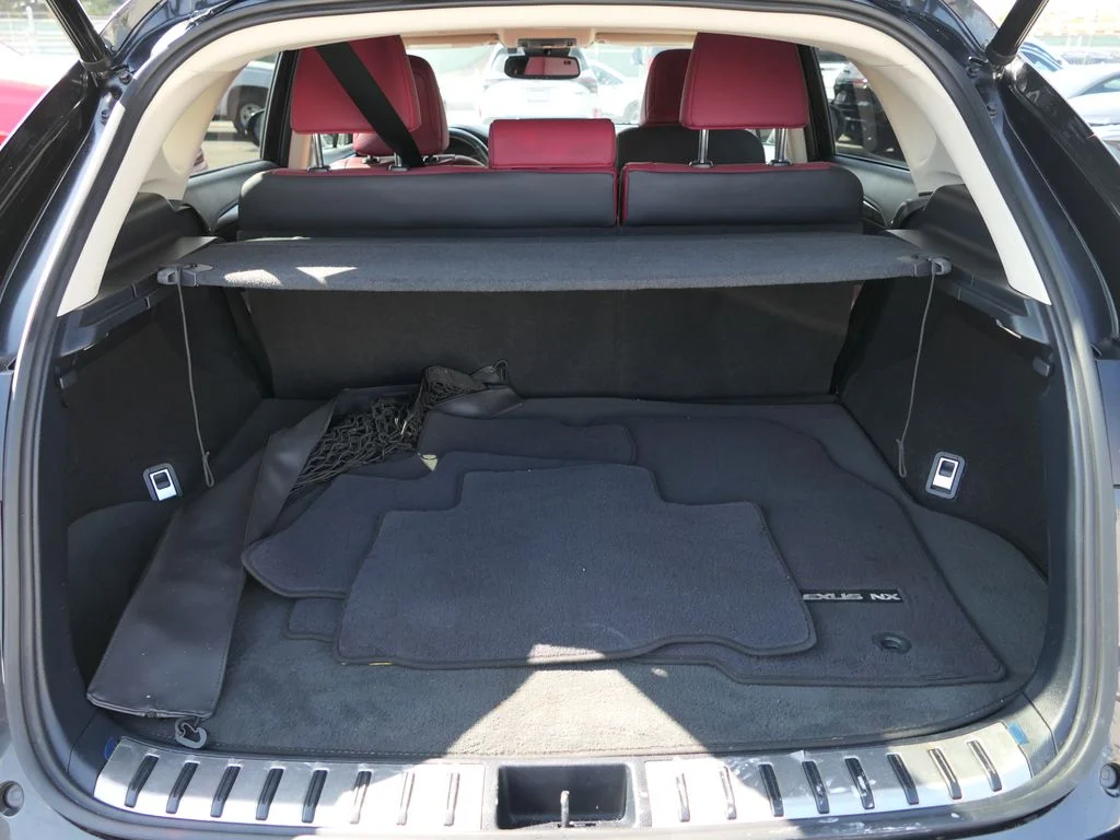 Used 2020 Caviar Lexus 300h image 23