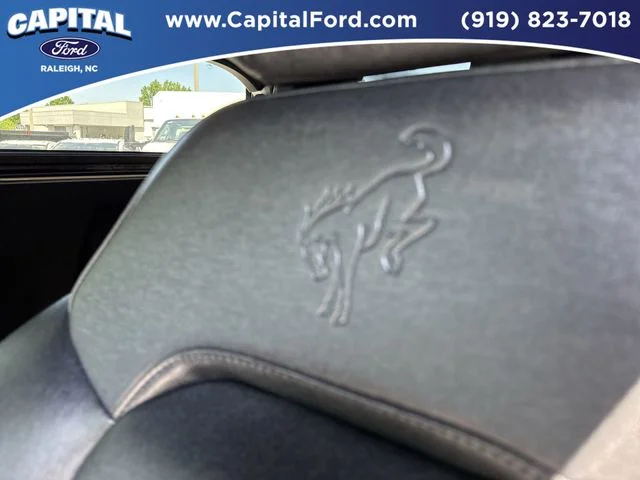 Used 2025 White Ford Stroppe Edition image 23
