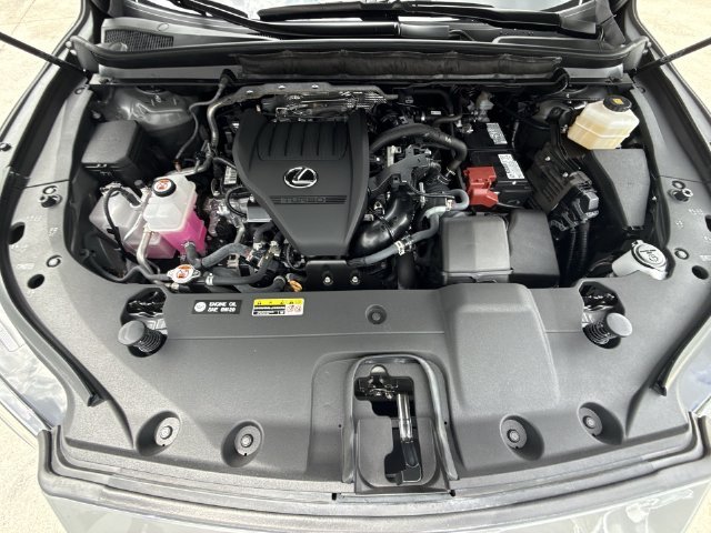 Photo 27