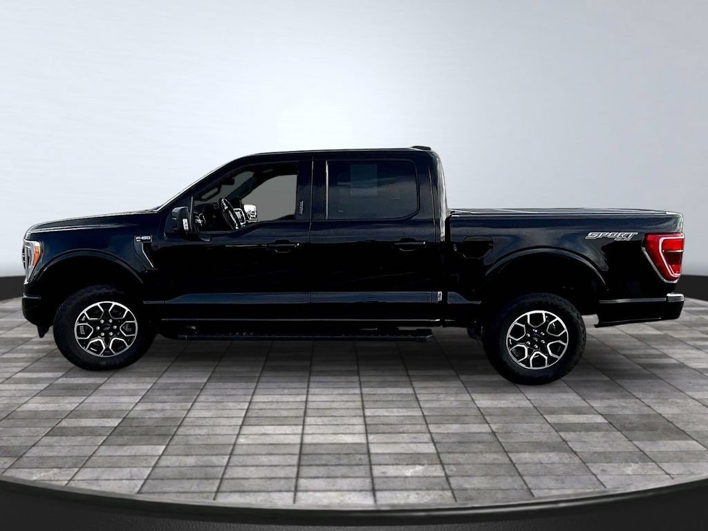 2023 Ford F-150 3