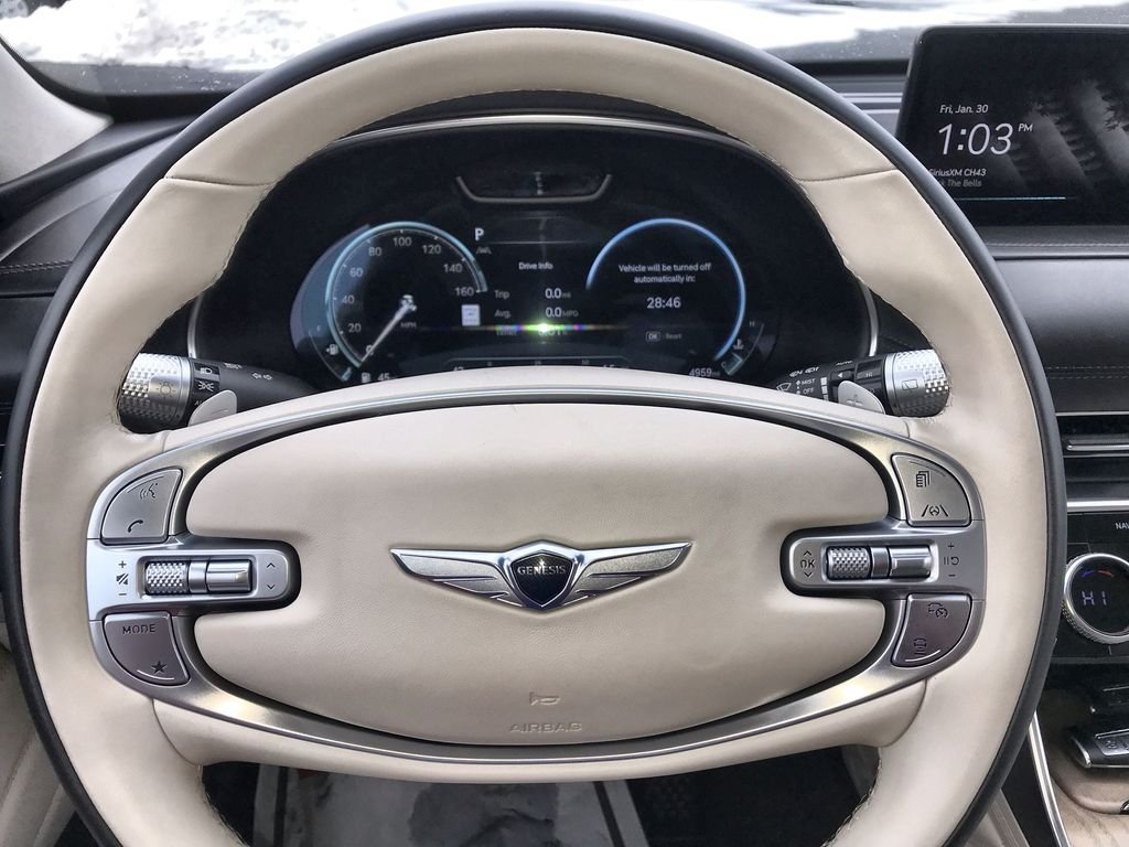 Used 2024 Gray Genesis 3.5T image 14
