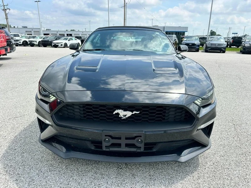 Used 2019 Shadow Black Ford EcoBoost Premium Convertible image 8