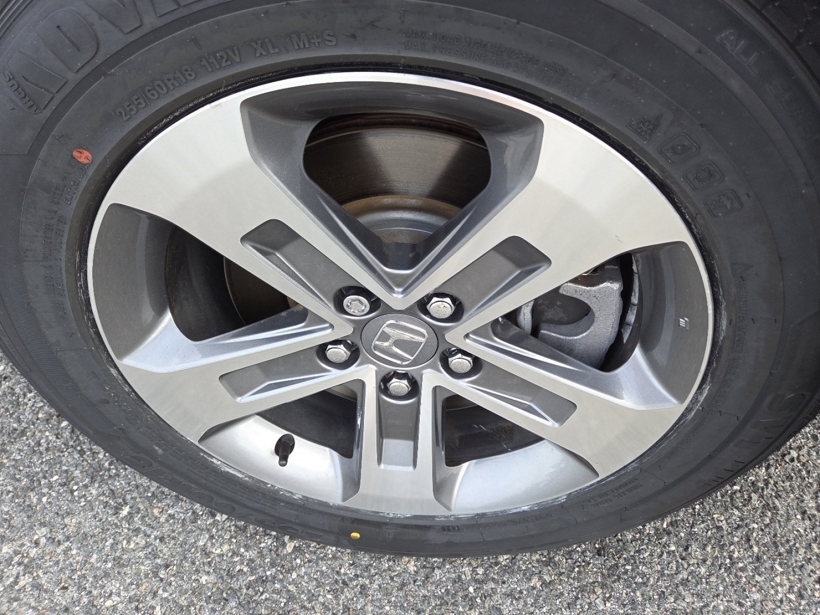 2023 Honda Pilot EX-L - Photo 10