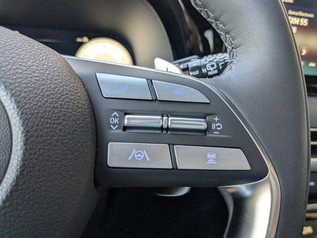 2025 Hyundai Palisade Calligraphy Night Edition - Photo 53