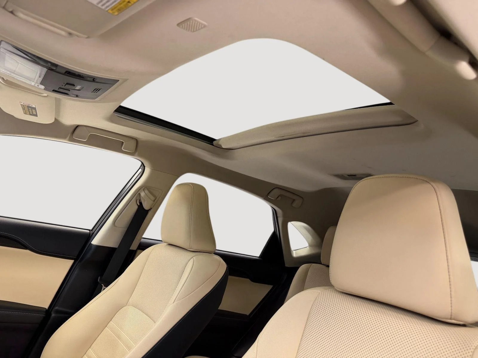 Used 2019  Lexus 300 image 5