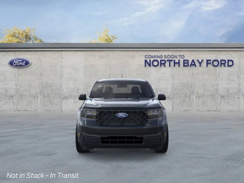 New 2026 Shadow Black Ford XL image 6