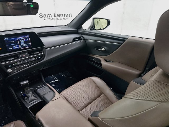 Used 2022 Iridium Lexus 300h image 25