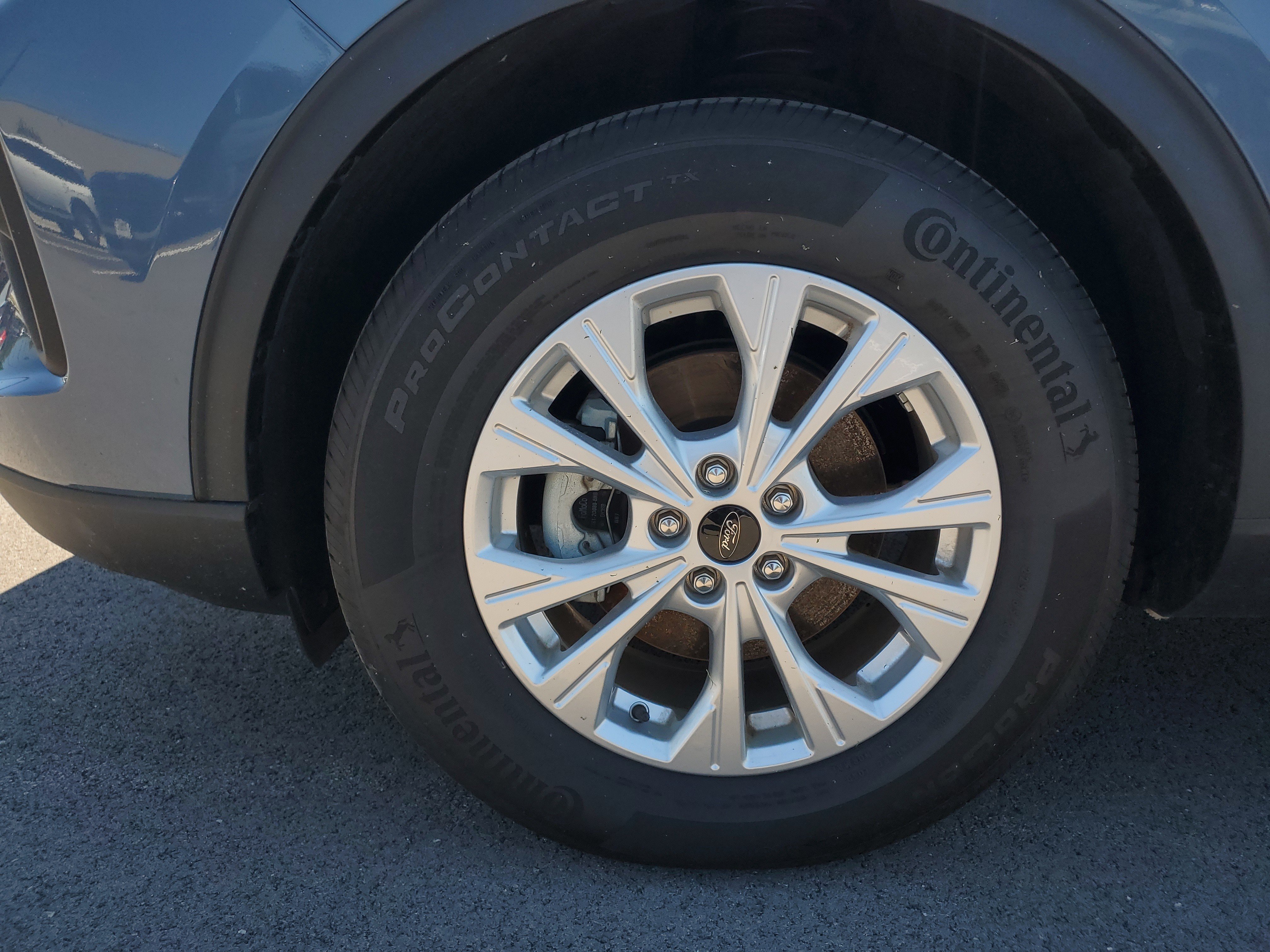 Used 2023 Blue Ford Active image 4