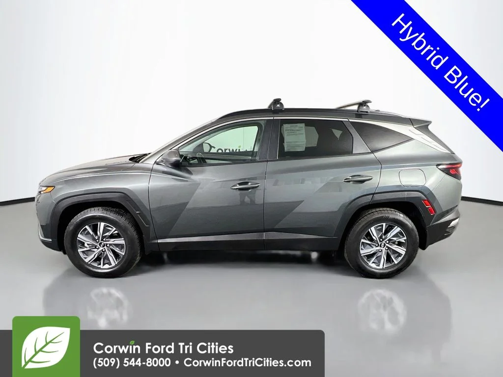 Used 2024 Amazon Gray Hyundai Blue image 6