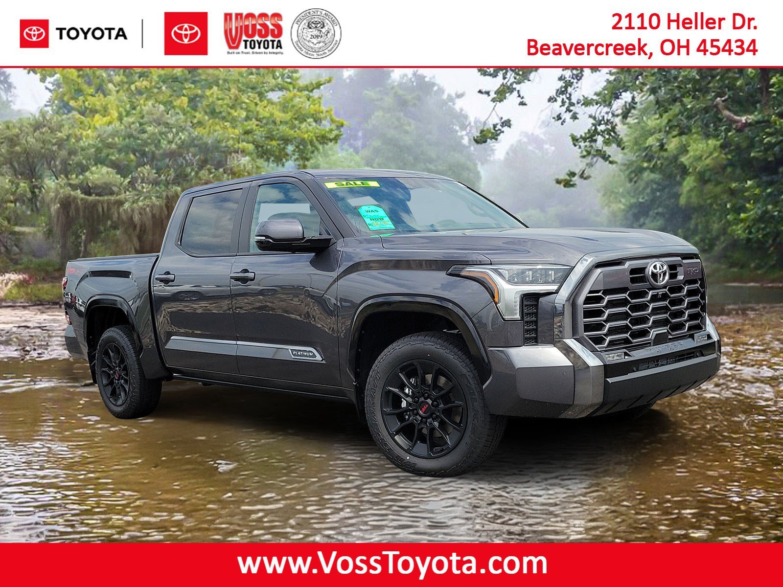 New 2026 Magnetic Gray Metallic Toyota  Platinum image 31