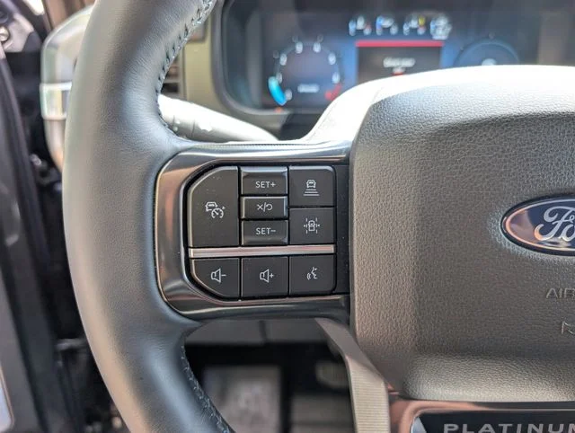 Used 2025 Gray Metallic Ford Platinum image 14