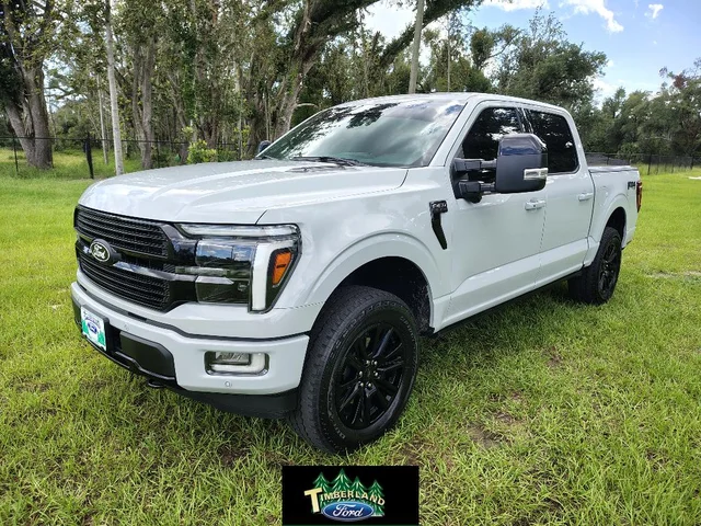 2024 Ford F-150 Platinum