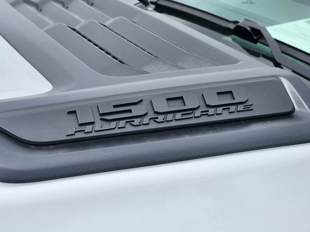 New 2026 Silver Zynith Exterior Paint RAM Rebel image 8