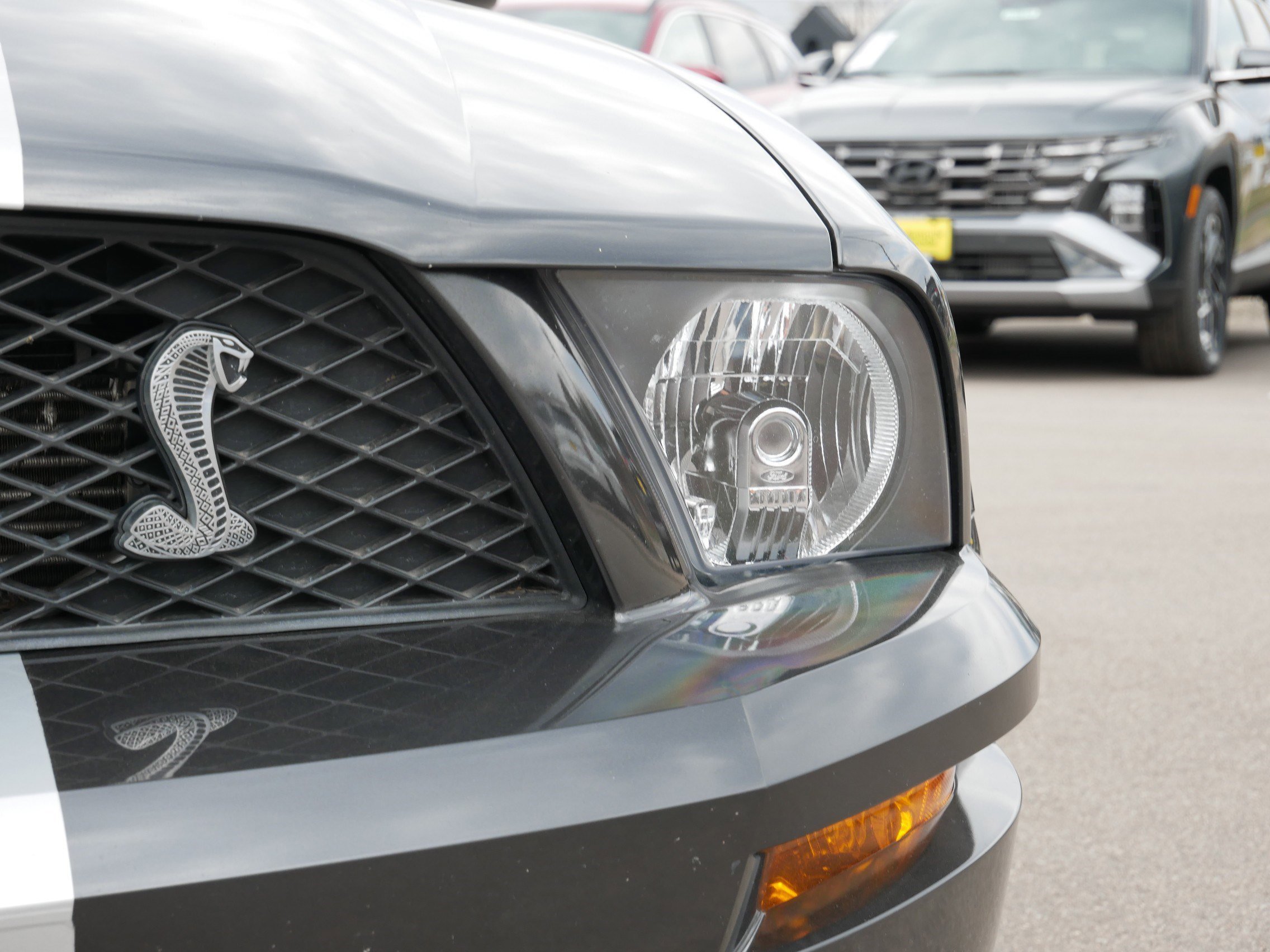 2008 Ford Mustang Shelby GT500 - Photo 16