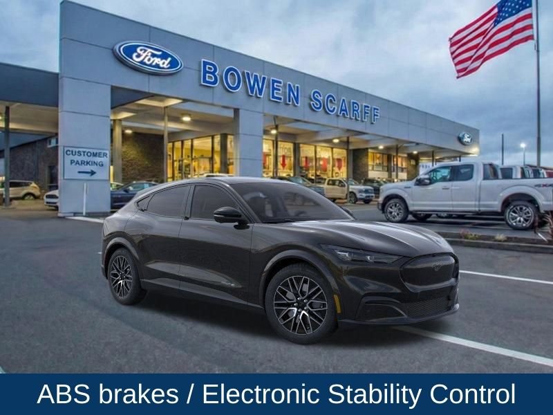New 2026 Shadow Black Ford Premium image 10