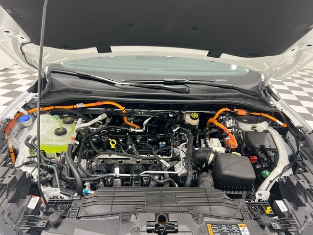 Used 2024 White Ford Base image 18