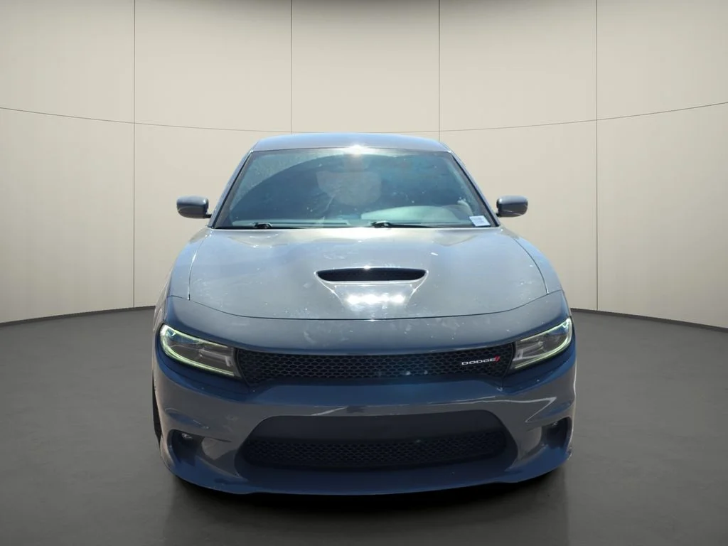 Used 2019 Gray Dodge GT image 2