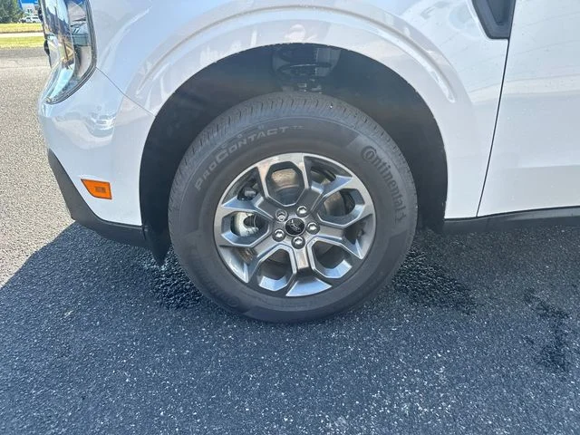 New 2025 Oxford White Ford XLT image 12