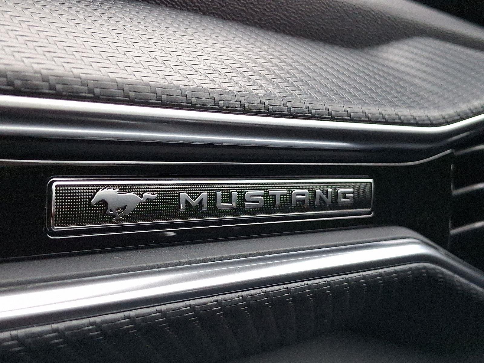New 2026 Vapor Blue Metallic Ford EcoBoost® Premium Fastback image 21