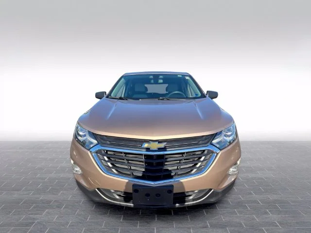 Used 2019 Beige Chevrolet LS image 2