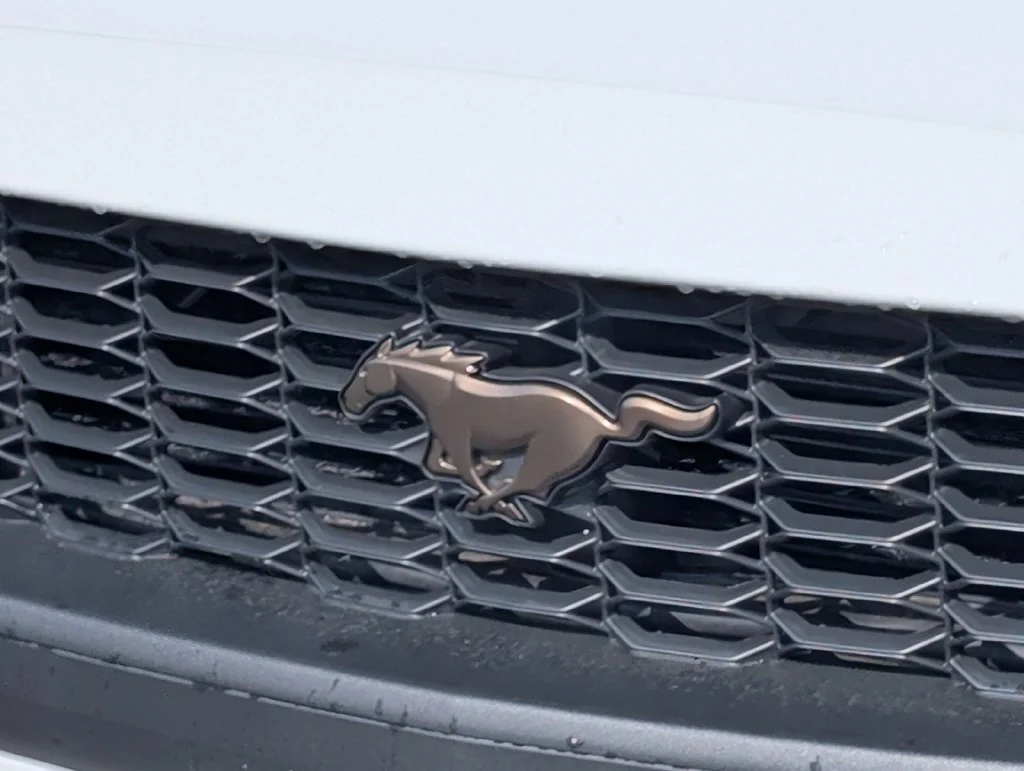 New 2026 Oxford White Ford EcoBoost® Fastback image 14