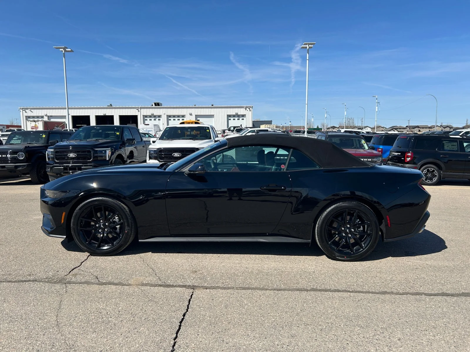 New 2026 Shadow Black Ford EcoBoost Premium image 24