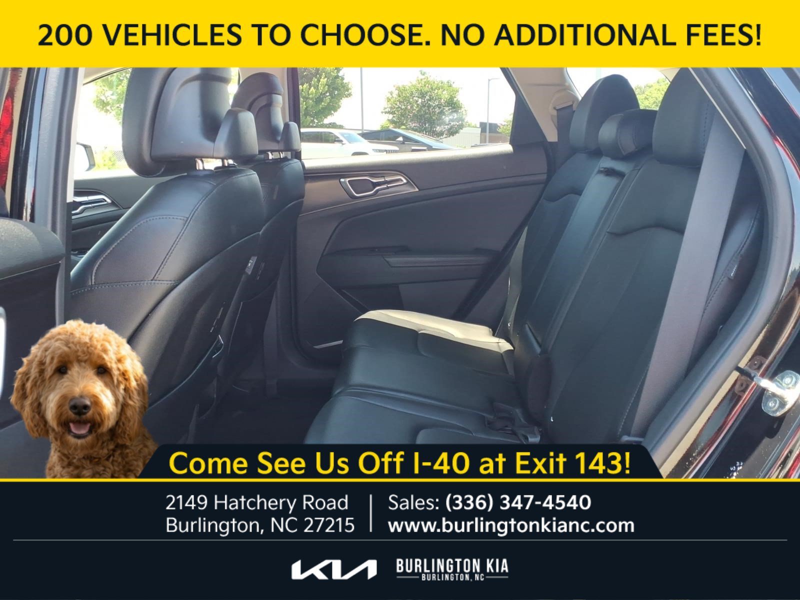Certified Used 2024 Ebony Black Kia EX image 4