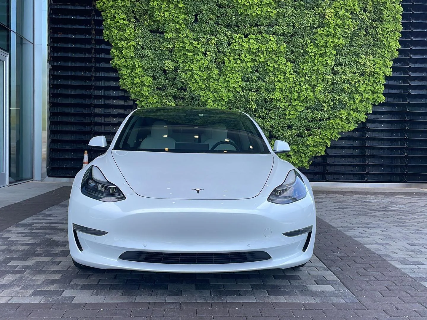 Used 2021 Pearl White Multi-Coat Tesla Standard Range Plus image 19