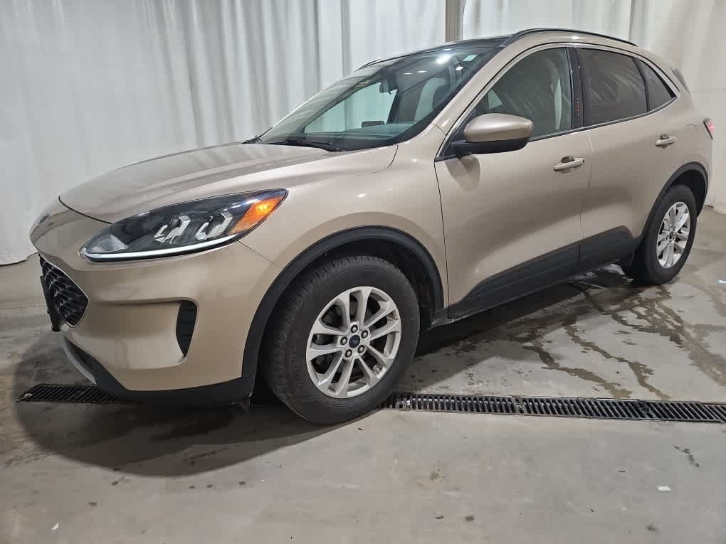 Used 2020 Desert Gold Metallic Ford SE image 2