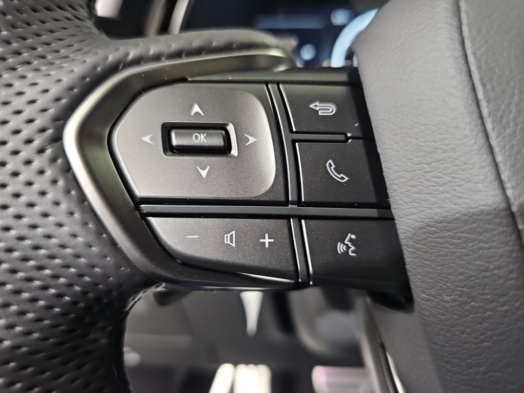 New 2026 Caviar Lexus F SPORT HANDLING AWD image 17