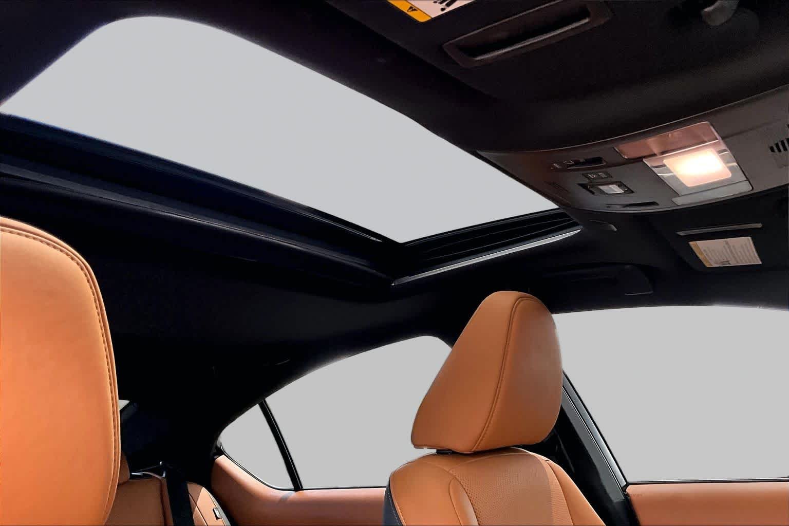 Used 2025 Infrared Lexus F SPORT Design image 14