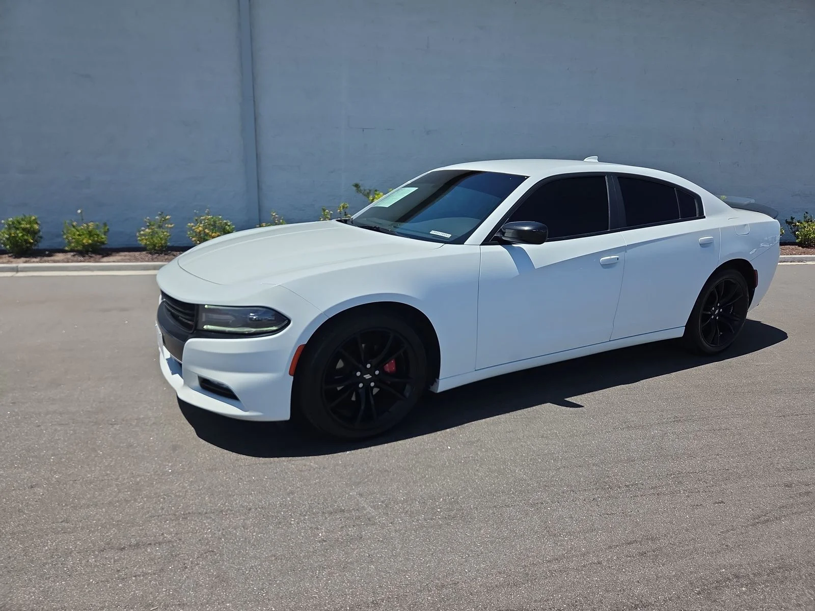2017 Dodge Charger SXT's photo