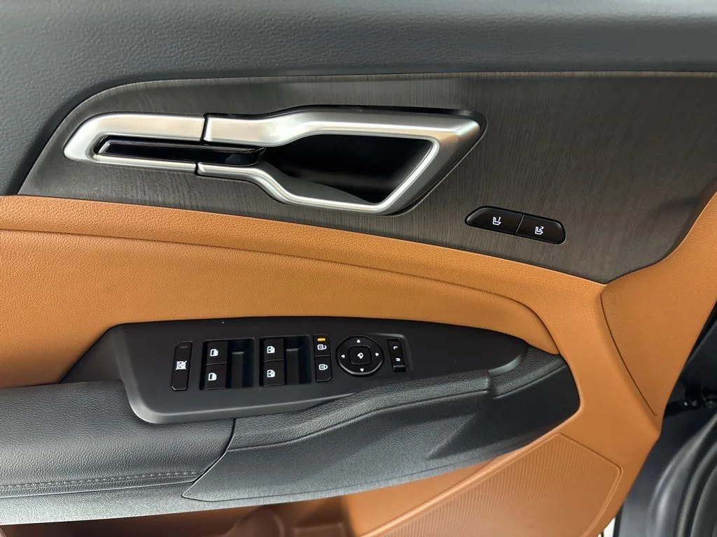 New 2026 Panthera Metal Matte Kia X-Line image 27