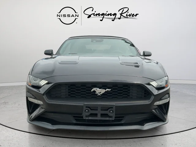 Used 2022 Black Ford EcoBoost Premium image 2