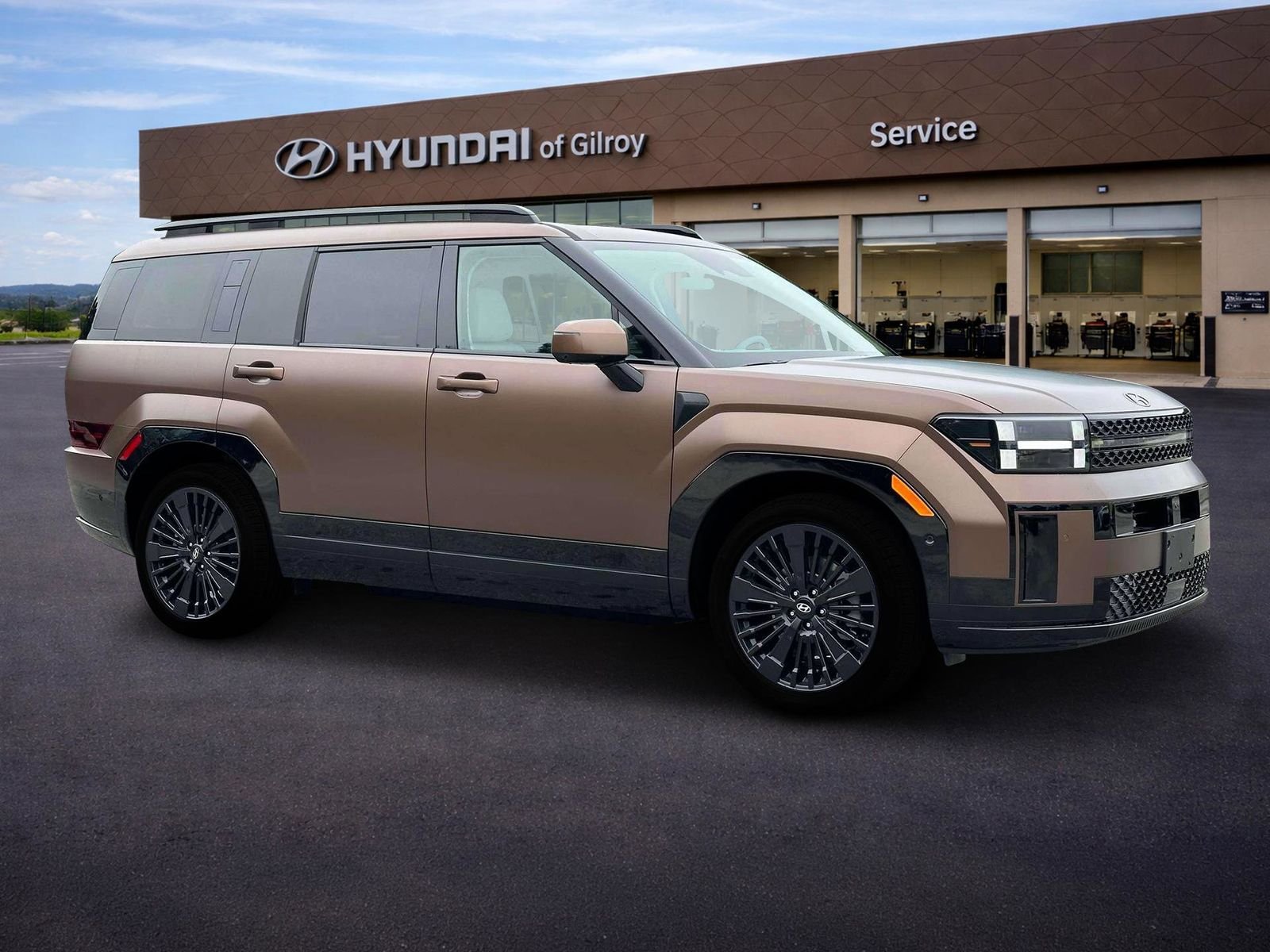 2025 Hyundai Santa Fe Calligraphy - Photo 29