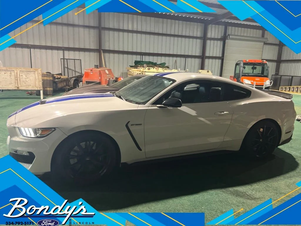 2017 Ford Mustang Shelby GT350's photo