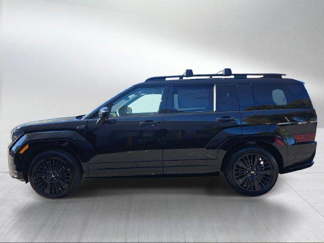 New 2027 Phantom Black Hyundai Calligraphy image 6