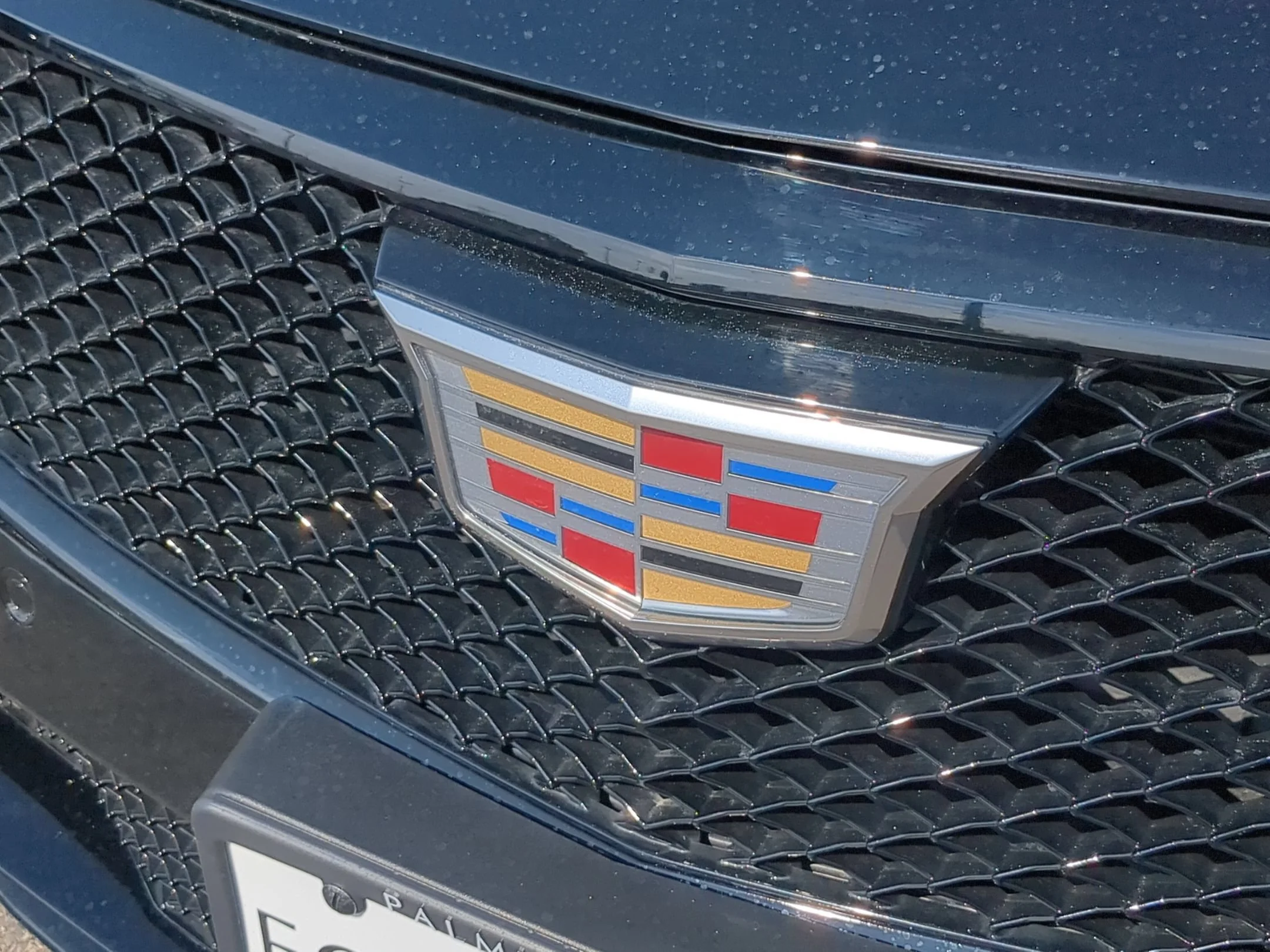 Used 2022 Black Raven Cadillac V-Series image 29