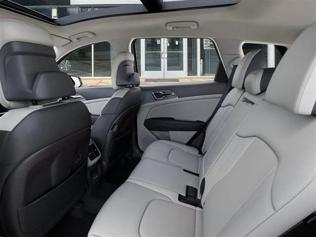 New 2026 Panthera Metal Gray Kia EX image 18