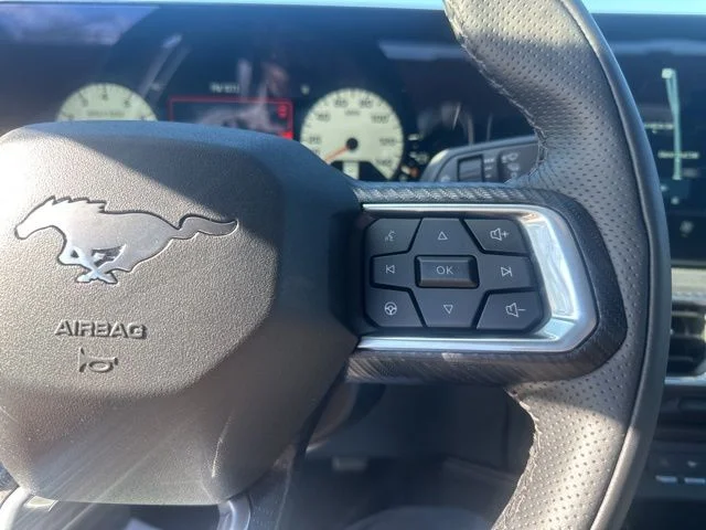 2026 Ford Mustang EcoBoost Premium Fastback - Photo 20