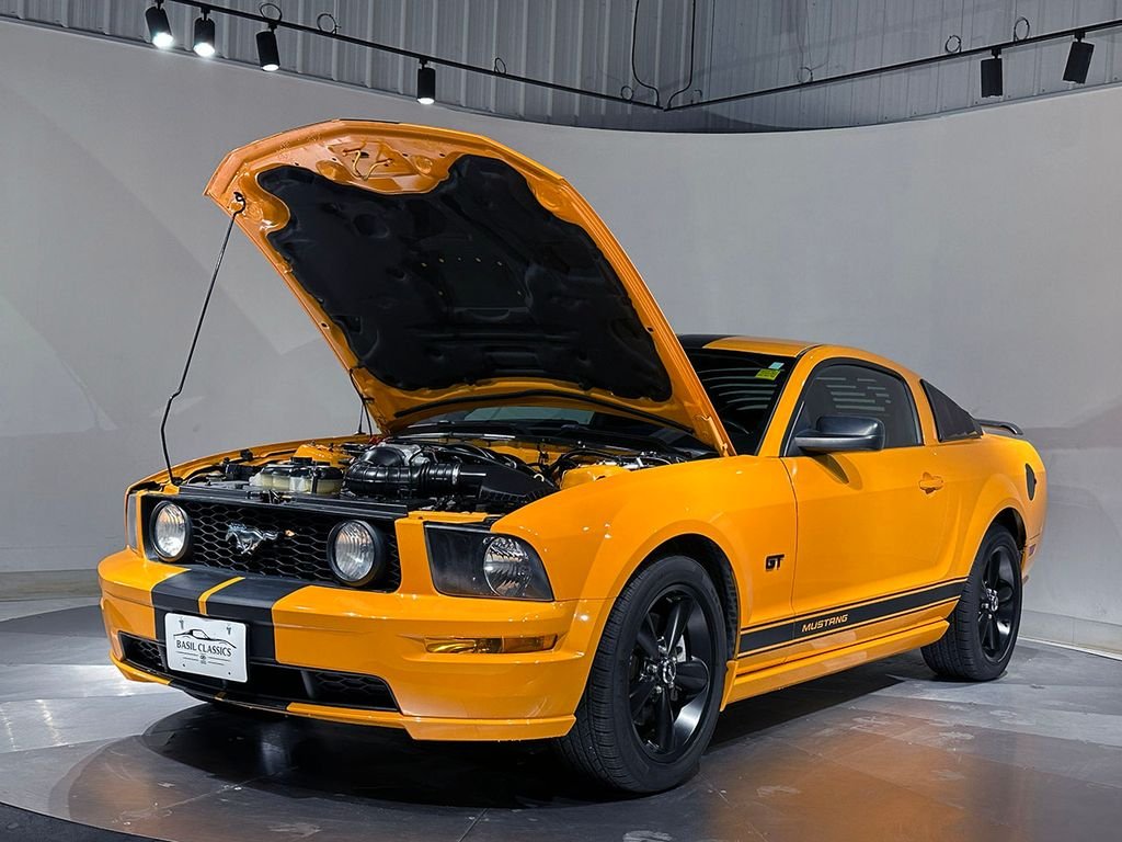 Used 2007 Orange Ford  image 30