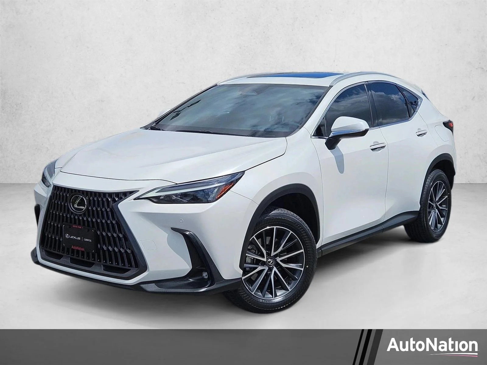 2024 Lexus NX 350h 350h Premium AWD's photo