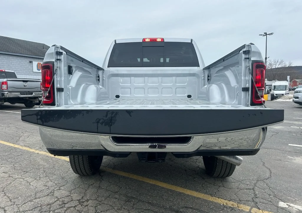 New 2026 Silver-Zynith Exterior Paint RAM Tradesman image 10