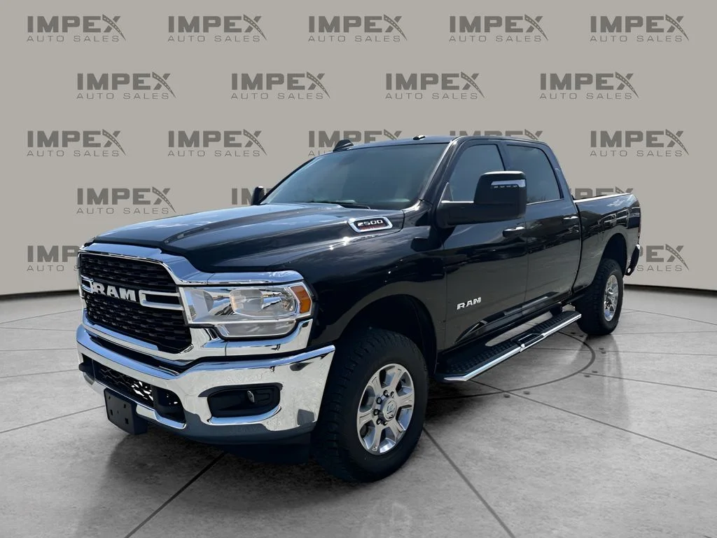 Used 2024 Black Ram Big Horn image 1