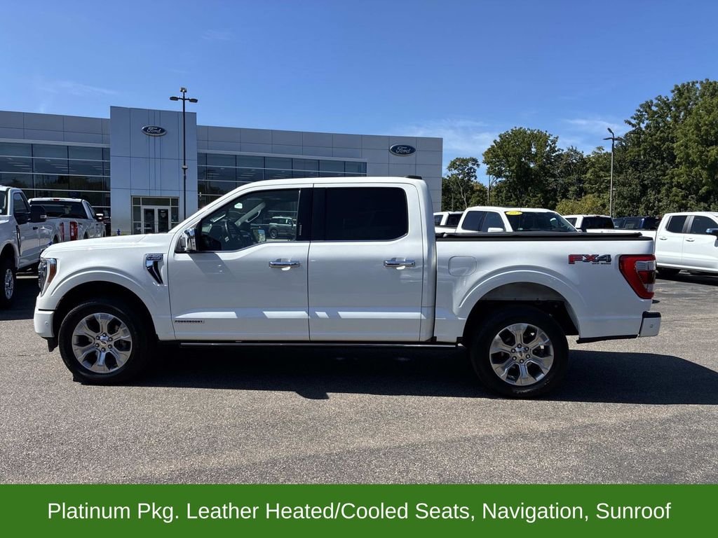 Used 2023 White Ford Platinum image 4