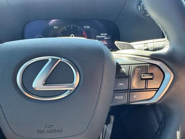 Used 2025 Silver Lexus Luxury+ image 31