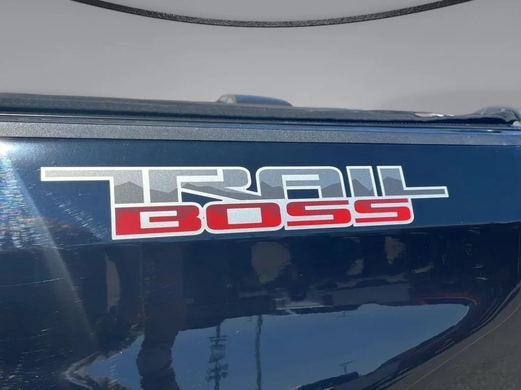 2020 Chevrolet Silverado 1500 LT Trail Boss - Photo 29